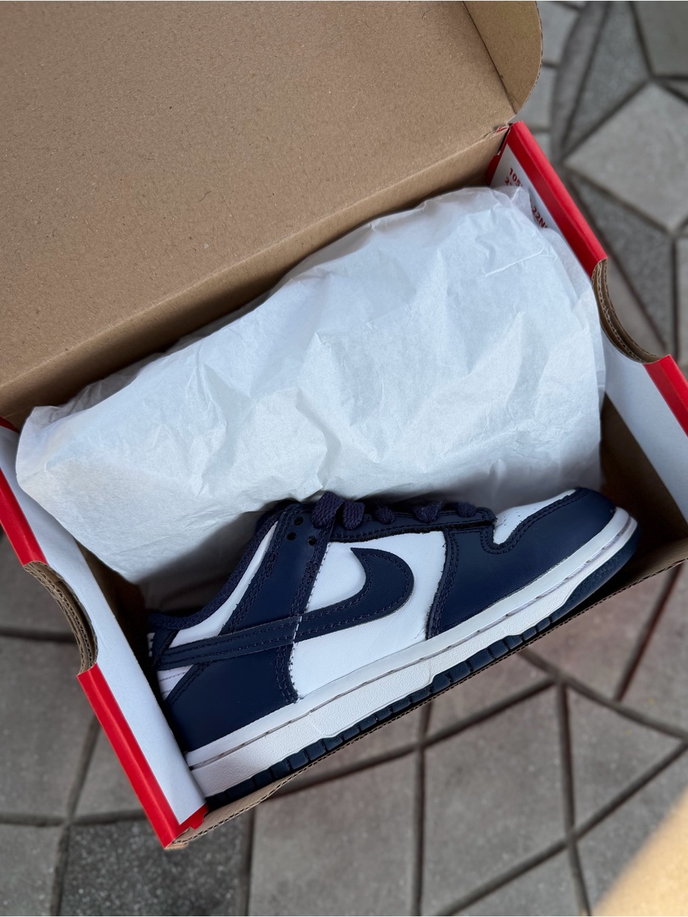 Nike Kids Navy Blue and White Low Top Sneakers